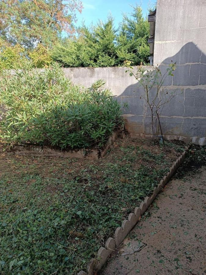 Maison Avec Jardin Issoudun Eksteriør billede